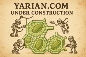 YARIAN.COM Under Construction